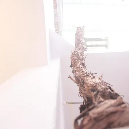 公寓 Toniko With Terrace 斯普利特